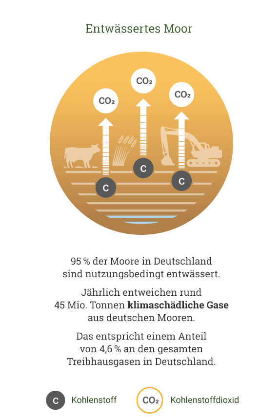 Grafik: CO2 bei entwässertes Moor; 95 % der Moore in Deutschland  sind nutzungsbedingt entwässert.  Jährlich entweichen rund  45 Mio. Tonnen klimaschädliche Gase aus deutschen Mooren.  Das entspricht einem Anteil  von 4,6 % an den gesamten  Treibhausgasen in Deutschland.